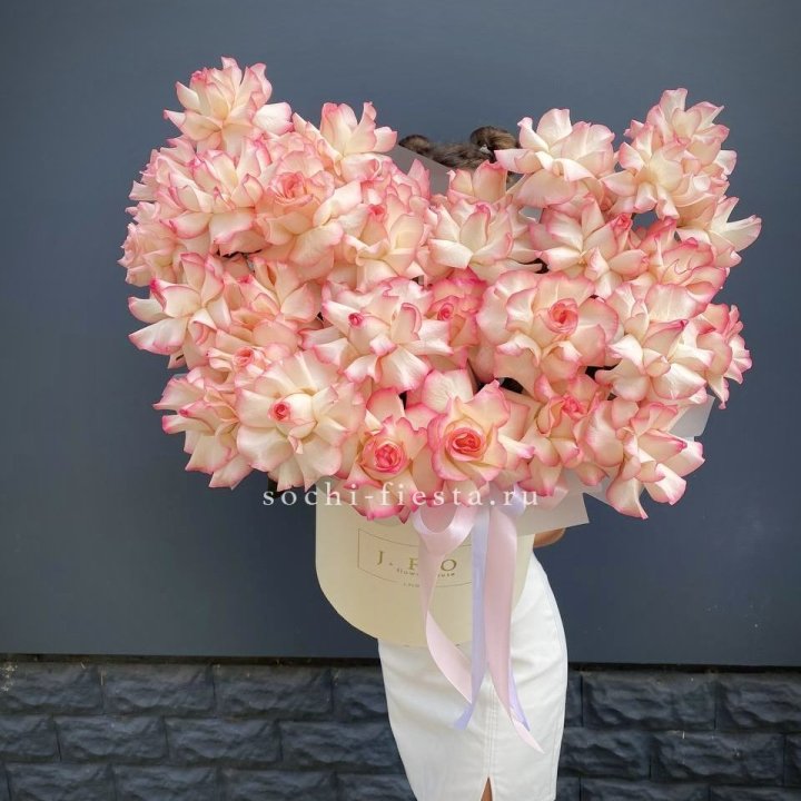 31 французская роза Джумилия в боксе в Адлере