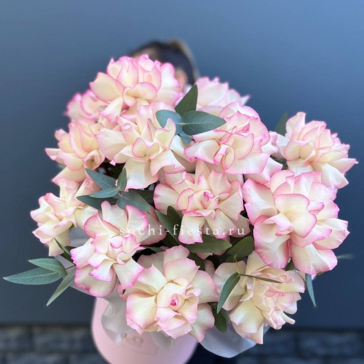 15 Французских роз Джумилия в боксе в Адлере