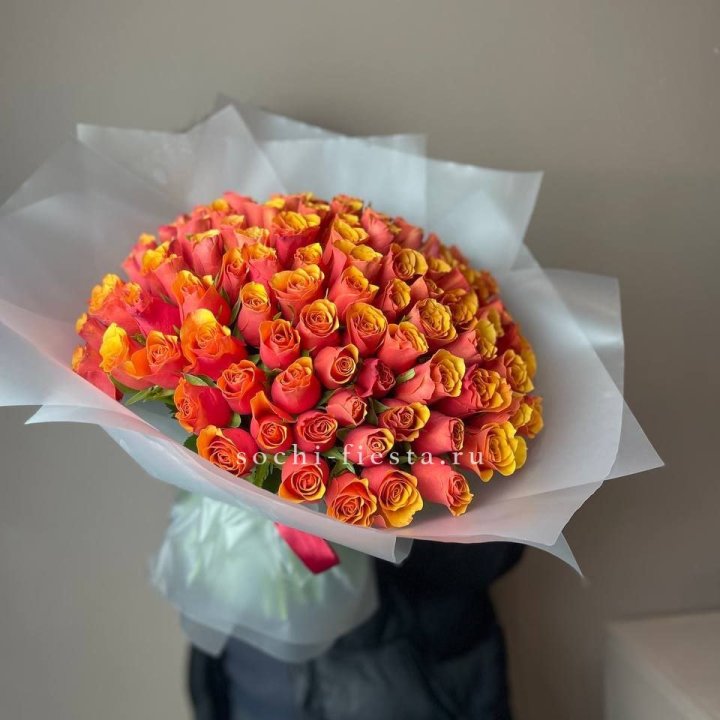 101 кенийская огненная роза  в Адлере