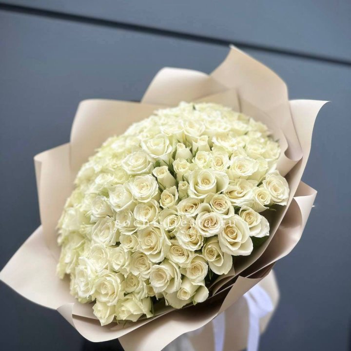 101 белая роза Атена с доставкой в Адлере