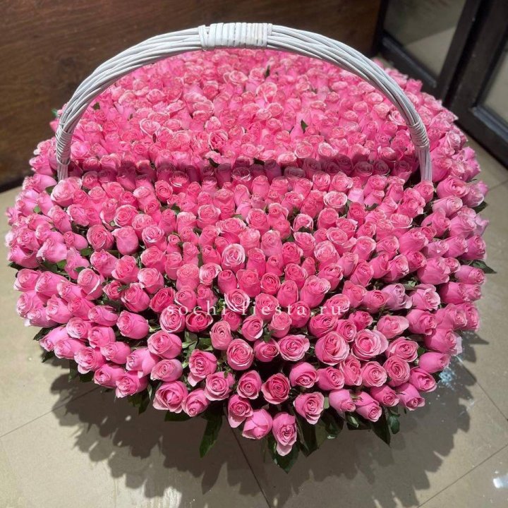 501 розовая роза в Адлере