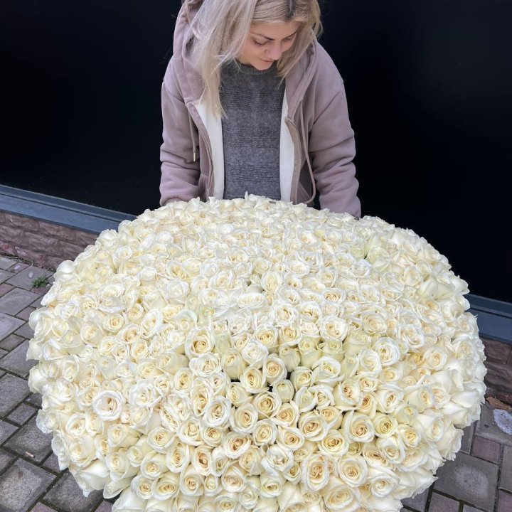 501 белая роза в корзине в Адлере