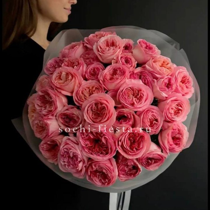 39 Пинк экспрешен  в Адлере