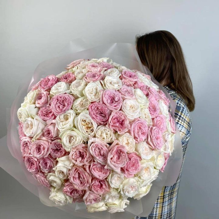 101 роз Охара в Адлере