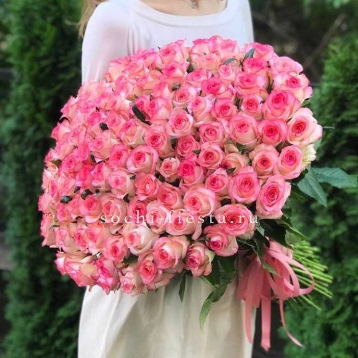 101  джумилия роза  в Адлере