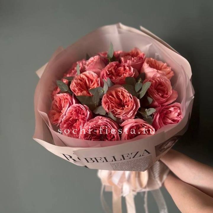 15 Пинк экспрешен в Адлере