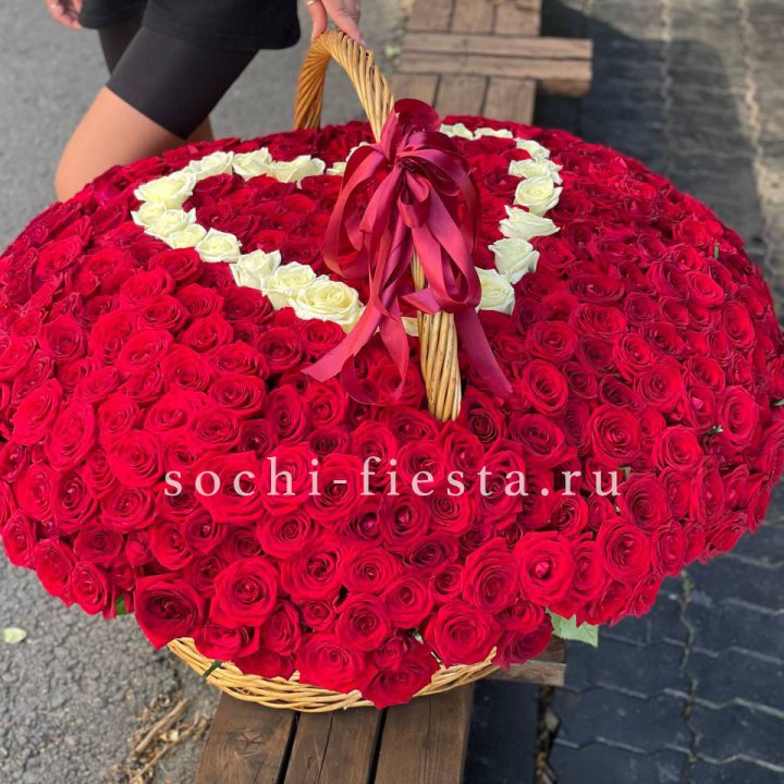 505 роз в Адлере