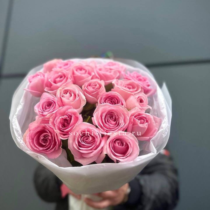 21 Розовая роза в белом в Адлере