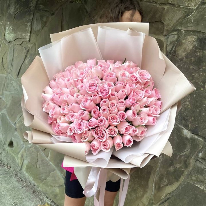 101 нежно-розовая роза Каролина  в Адлере