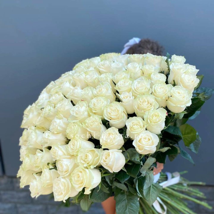 101 белая высокая роза в Адлере
