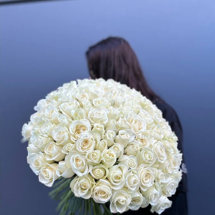 Охапка из 101 белой розы  в Адлере