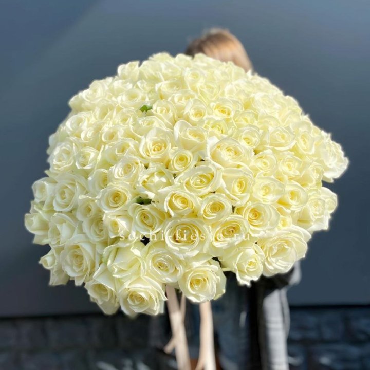 Букет  из 101 белой розы  в Адлере