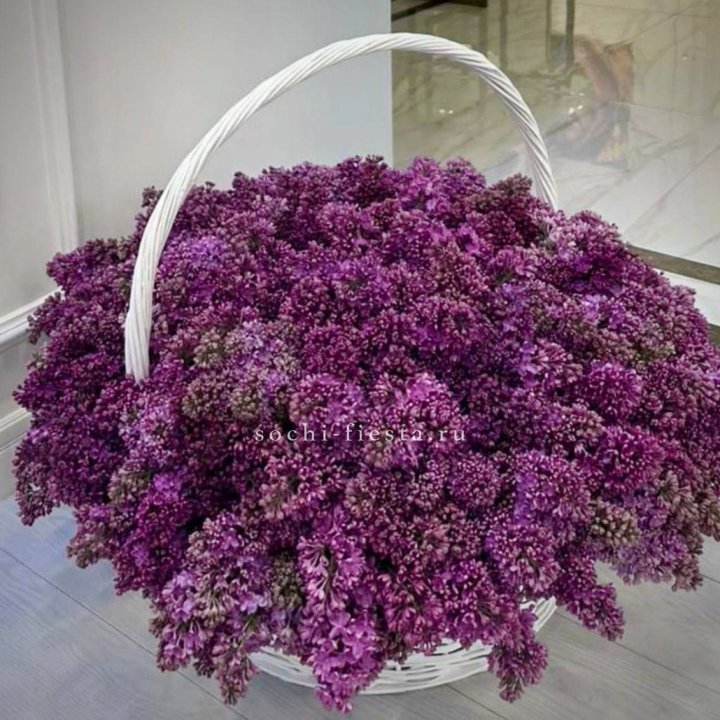 Корзина сирени в Адлере