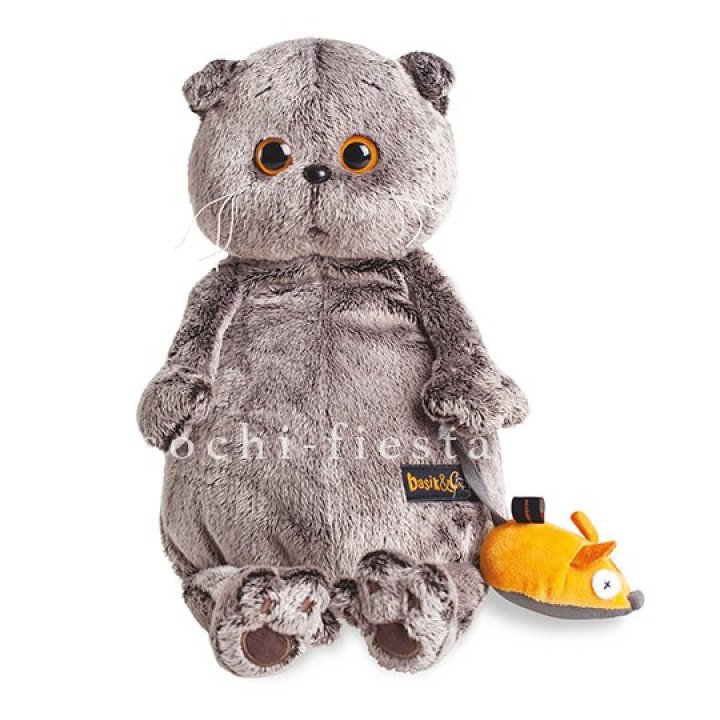 Кот Басик с мышкой в Адлере