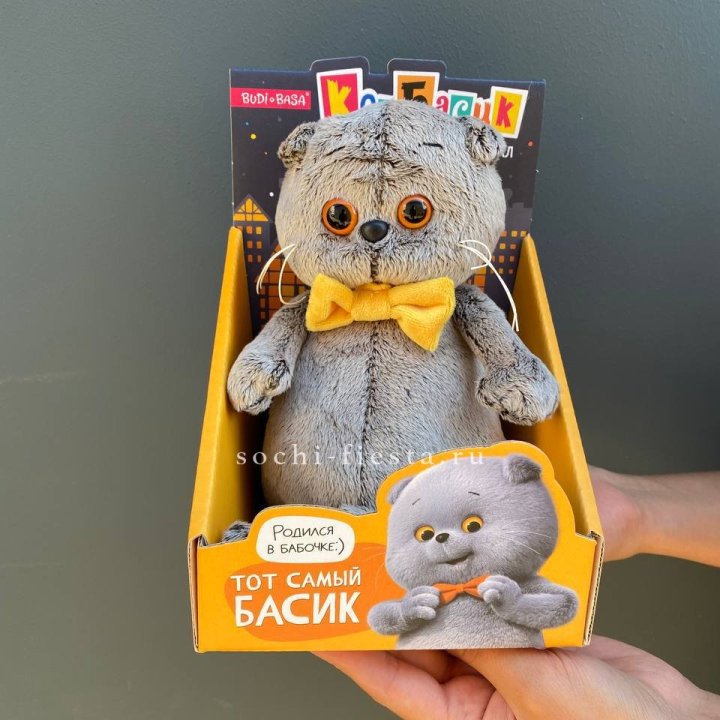 Кот Басик с бабочкой в Адлере