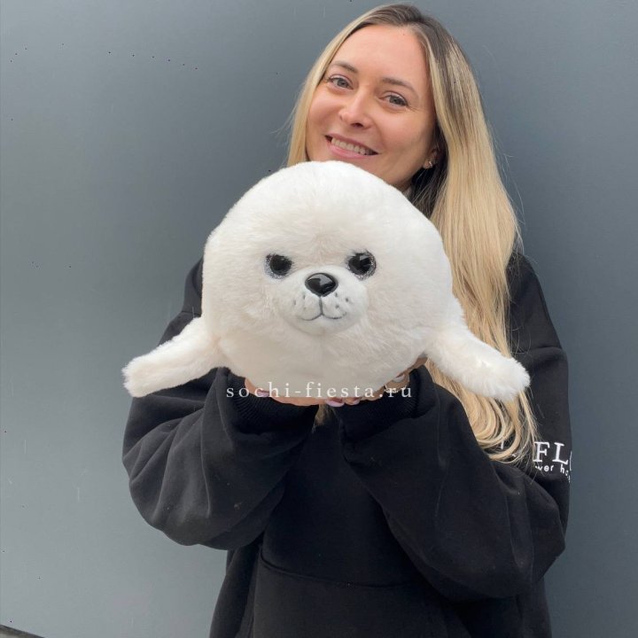 Мягкая игрушка Морской Котик в Адлере