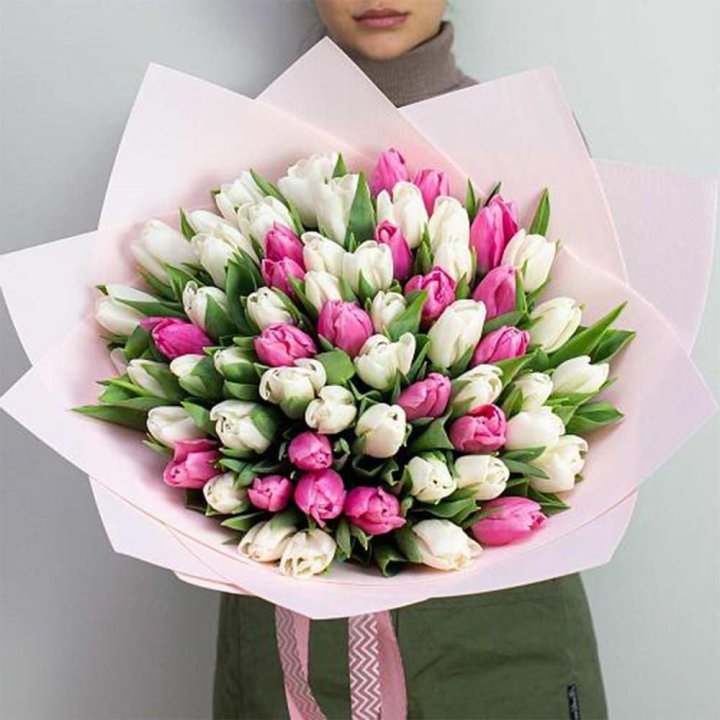 61 бело-розовый тюльпан в Адлере