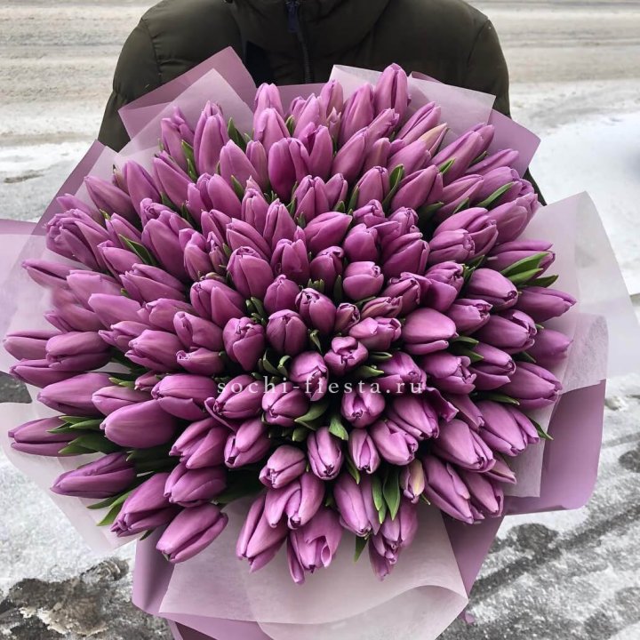 101 сиреневый тюльпан в Адлере