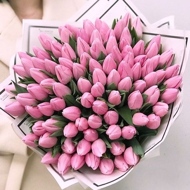 101 розовый тюльпан в белом в Адлере