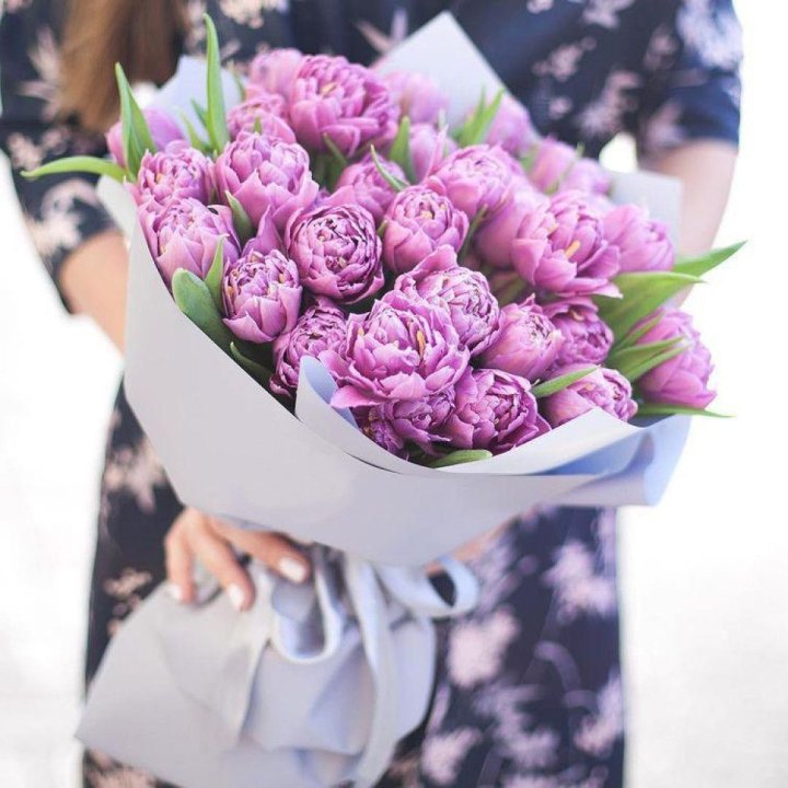 Тюльпаны "Пионс" в Адлере