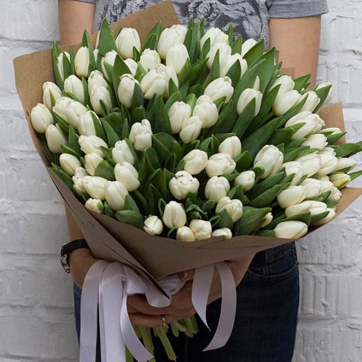 101 тюльпан SNOW в Адлере