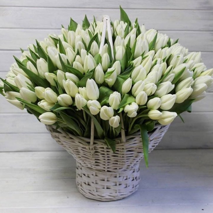 Корзина из 151 тюльпана в Адлере