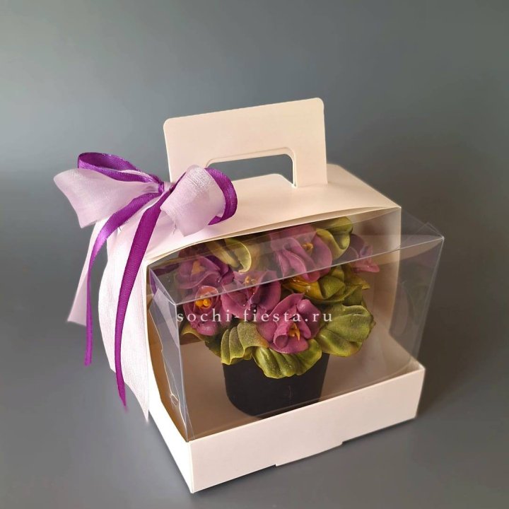  Зефир "Фиалка" в Адлере