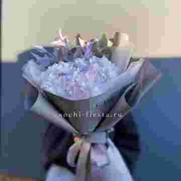 Гортензия "Violet sky" в Адлере